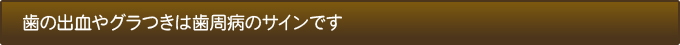 歯の出血やグラつきは歯周病のサインです